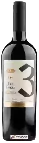 Bodega Tenute Quattro Conti - Tre Forte Rosso