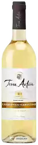 Bodega Terra Antica - Sélection Chardonnay - Vermentinu