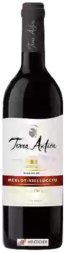 Bodega Terra Antica - Sélection Merlot - Niellucciu