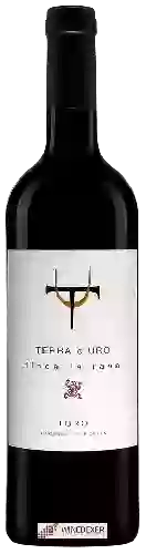 Bodega Terra d'Uro - Finca La Rana