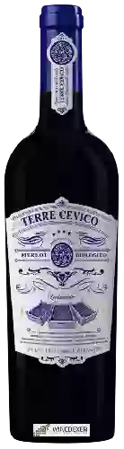 Bodega Terre Cevico - Merlot Biologico Appassite