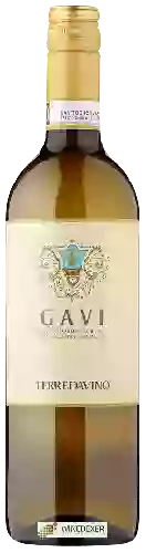 Bodega Terre da Vino - Gavi