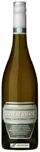 Bodega Terre di Amadei - Chardonnay