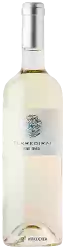 Bodega Terre di Rai - Pinot Grigio