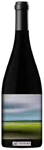 Bodega Time Place Wine Co. - Bechtold Vineyard Cinsault