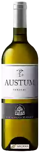 Bodegas Tionio - Austum Verdejo