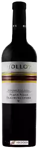 Bodega Tolloy - Pinot Nero - Blauburgunder