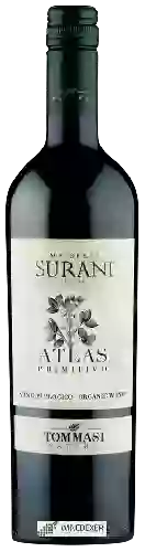 Bodega Tommasi - Masseria Surani Atlas