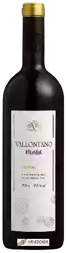 Bodega Vallontano - Reserva Merlot