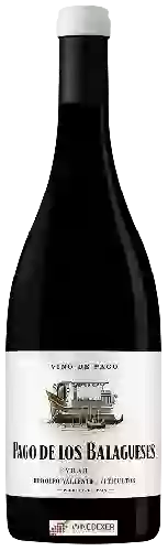 Bodega Vegalfaro - Pago de los Balagueses Syrah