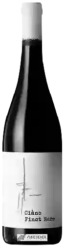 Bodega Masiero Gianfranco - Ciàno Pinot Nero