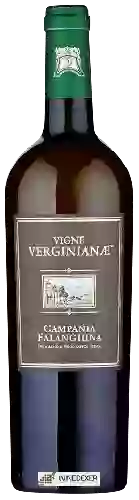 Bodega Vigne Verginianae - Campania Falanghina