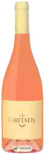 Bodega Via Caritatis - Vox Domini Ventoux Rosé