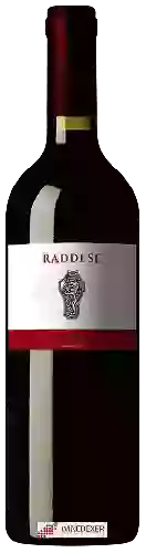 Bodega Vignavecchia - Raddese