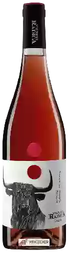 Bodega Vigneti Radica - Rosato