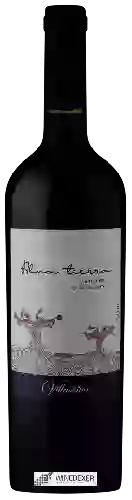 Bodega Villaseñor - Alma Tierra Carménère