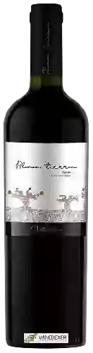 Bodega Villaseñor - Alma Tierra Syrah