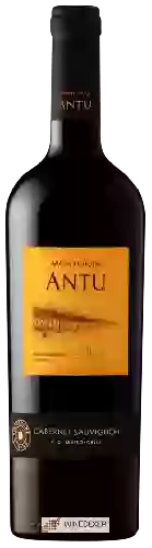 Bodega MontGras - Antu Cabernet Sauvignon