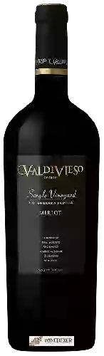 Bodega Valdivieso - Single Vineyard Merlot