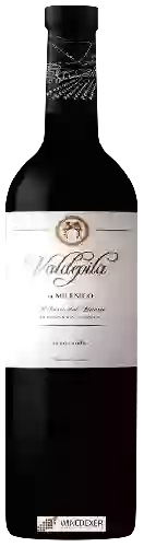 Bodega Viñedos Milénico - Valdepila Tempranillo