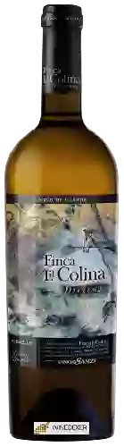 Bodega Vinos Sanz - Finca La Colina Dressage