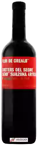 Bodega Vinya l'Hereu - Flor de Grealò