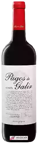 Bodegas Virxen de Galir - Pagos del Galir Mencia