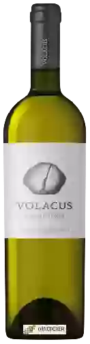 Bodega Volacus - &Mu&Alpha&Lambda&Alpha&Gamma&Omicron&Upsilon&Zeta&Iota&Alpha (Malagousia)