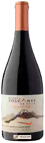 Bodega Volcanes - Tectonia Petite Sirah - Mourvèdre - Grenache