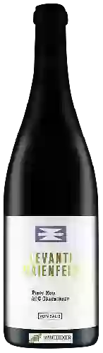 Bodega Von Salis - Levanti Maienfeld Pinot Noir