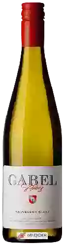 Bodega Weingut Gabel - Sauvignon Blanc