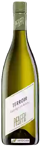 Bodega Weingut R&A Pfaffl - Sauvignon Blanc TERROIR