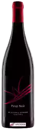 Bodega Wijndomein Stokhem - Pinot Noir