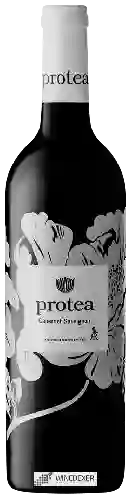 Bodega Protea - Cabernet Sauvignon