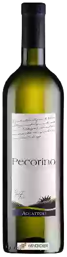 Weingut Accattoli - Pecorino