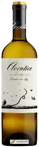 Weingut Acontia - Criado Sobre Lias Verdejo