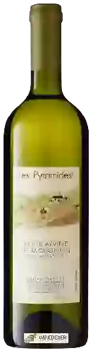 Weingut Adrian et Diego Mathier - Les Pyramides Petite Arvine