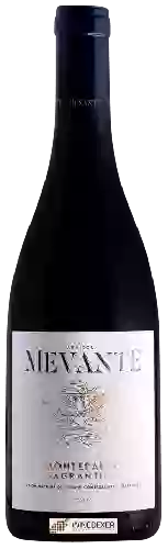 Weingut Agricola Mevante - Montefalco Sagrantino