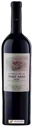 Weingut Agriloro - Tenimento dell'Ör Pinot Nero