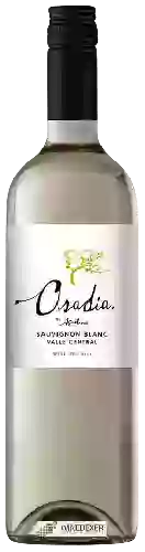 Weingut Agustinos - Osadia Sauvignon Blanc