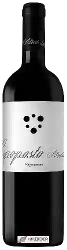 Weingut Alberto Longo - Capoposto