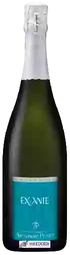 Weingut Alexandre Penet - Ex Ante Champagne