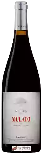 Weingut Alto de Inazares - Mulato