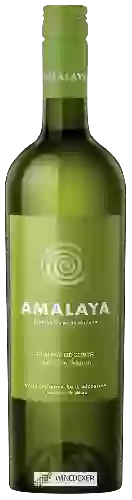 Weingut Amalaya - Blanco (Riesling - Torrontés)