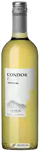 Weingut Andean Vineyards - Condor Peak Chardonnay