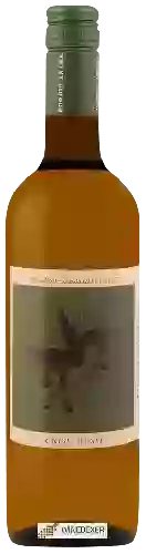 Weingut Poggio Anima - Gabriel Pecorino Terre di Chieti