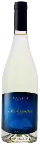 Weingut Antichi Vinai - Meligunis Malvasia Bianco Secco