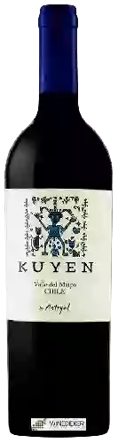 Weingut Antiyal - Kuyen