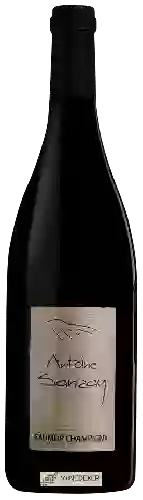 Weingut Antoine Sanzay - Saumur-Champigny