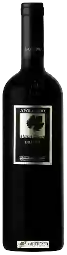 Weingut Apollonio - Mater Terra Negroamaro Passito Salento